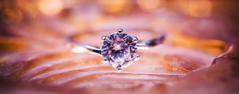 Elegant Accessories